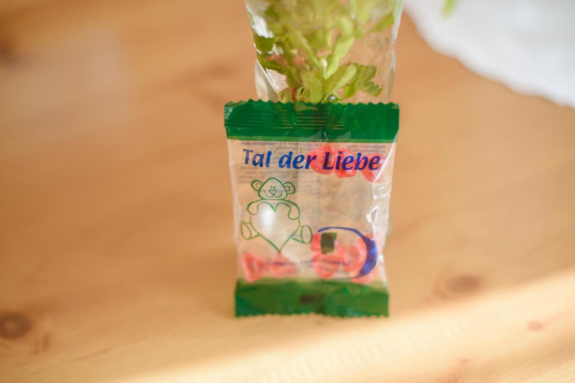 Landgasthof Linde Gasthof